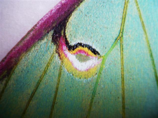 [pP1210363+(Small).JPG]