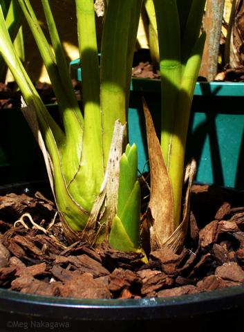 [pP1210392+(Small).JPG]