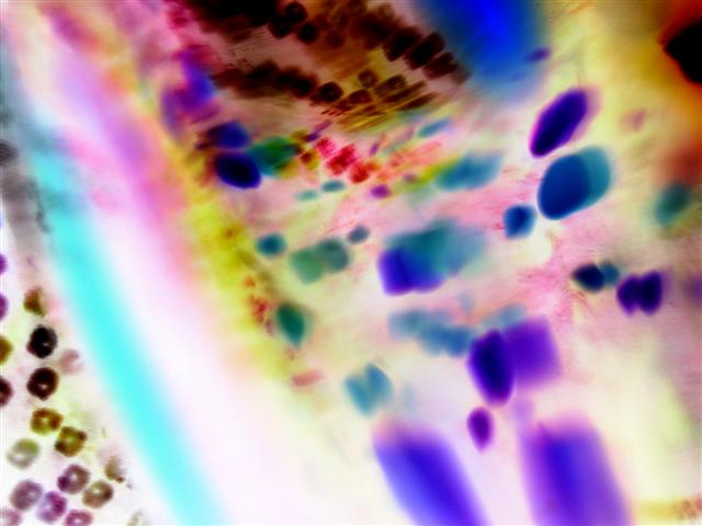 [Glass+1+neg+P1220827+(Small).JPG]