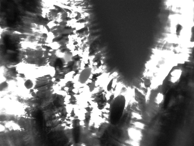 [Glass+2+BW+backlit+P220849+(Small).JPG]