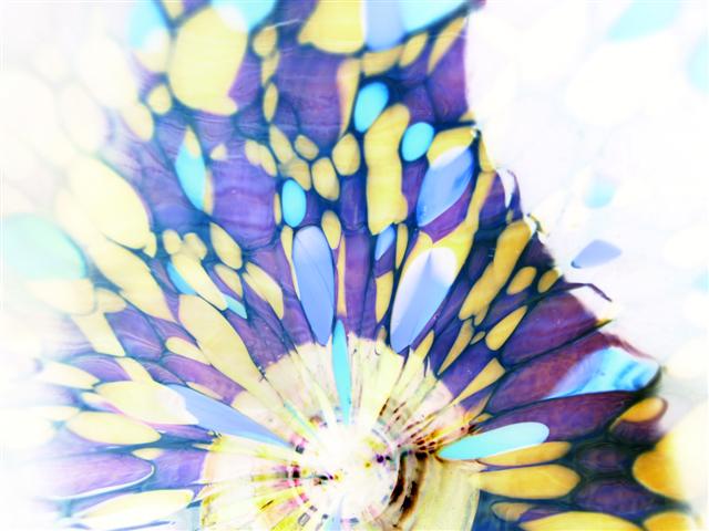 [Glass+7+original+neg+P1220806+(Small).JPG]