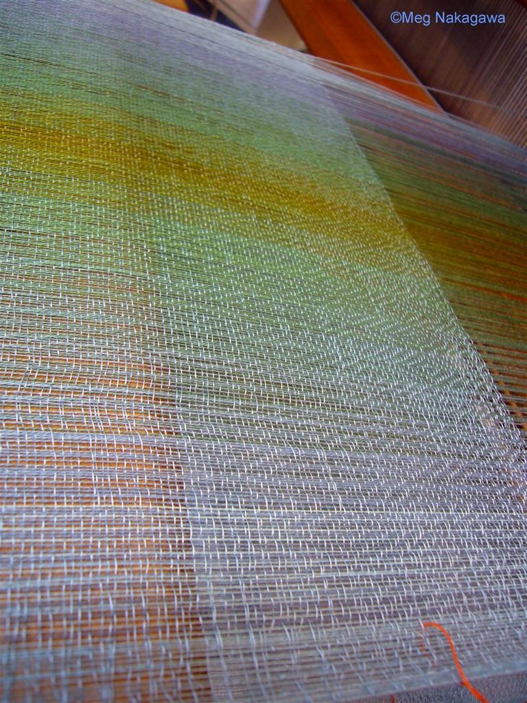 [pP1150153+(Large).JPG]