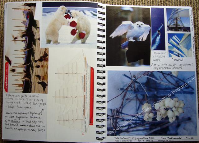 [P1150468+(Small).JPG]