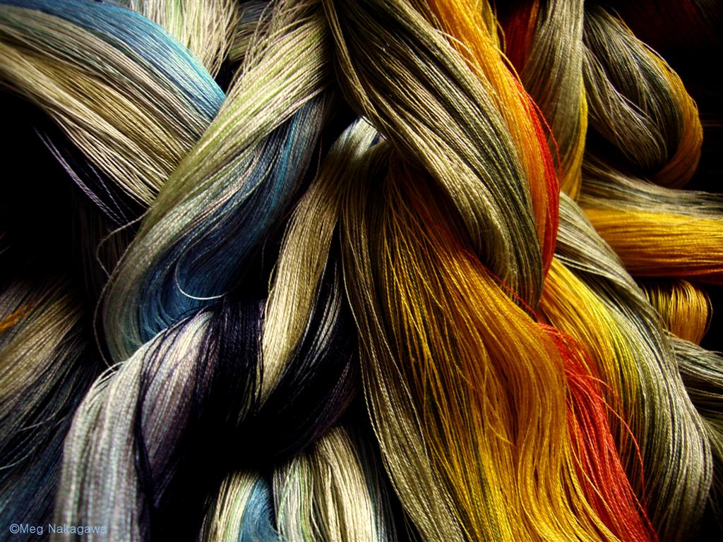 [pP1160053+(Large).JPG]