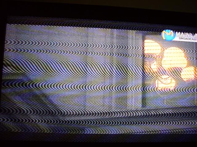 [P1190225+(Small).JPG]