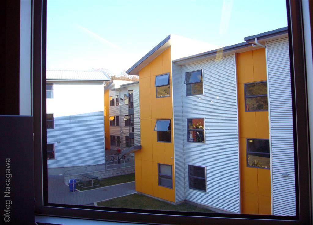 [P1190307+(Large).JPG]