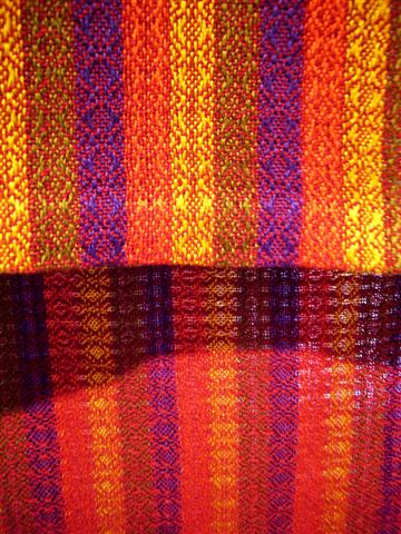 [pP1190489+(Small).JPG]