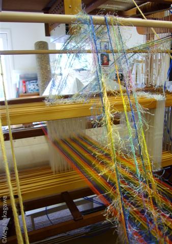 [pP1190482+(Small).JPG]