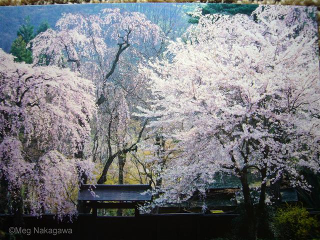 [P1200117+(Small).JPG]