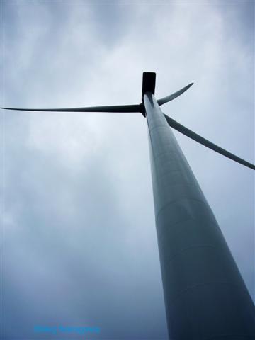 [pP1200335+(Small).JPG]