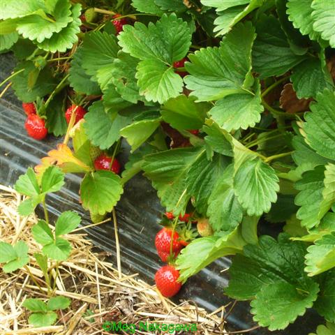 [pP1200202+(Small).JPG]