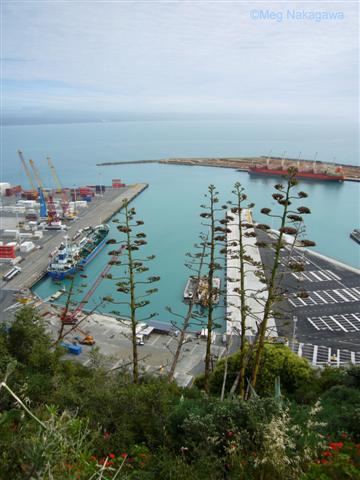 [pP1200223+(Small).JPG]