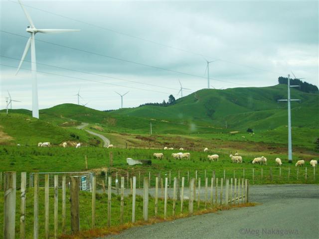 [PP1200336+(Small).JPG]