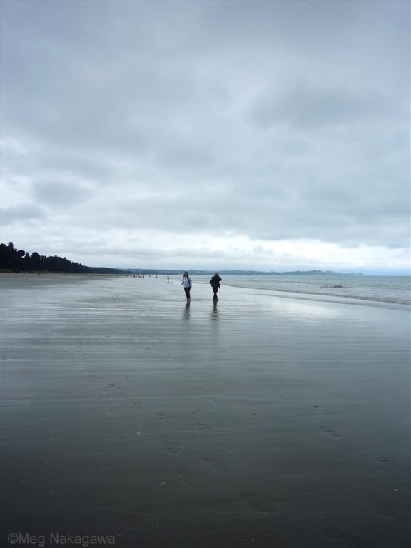 [pP1200763+(Large).JPG]