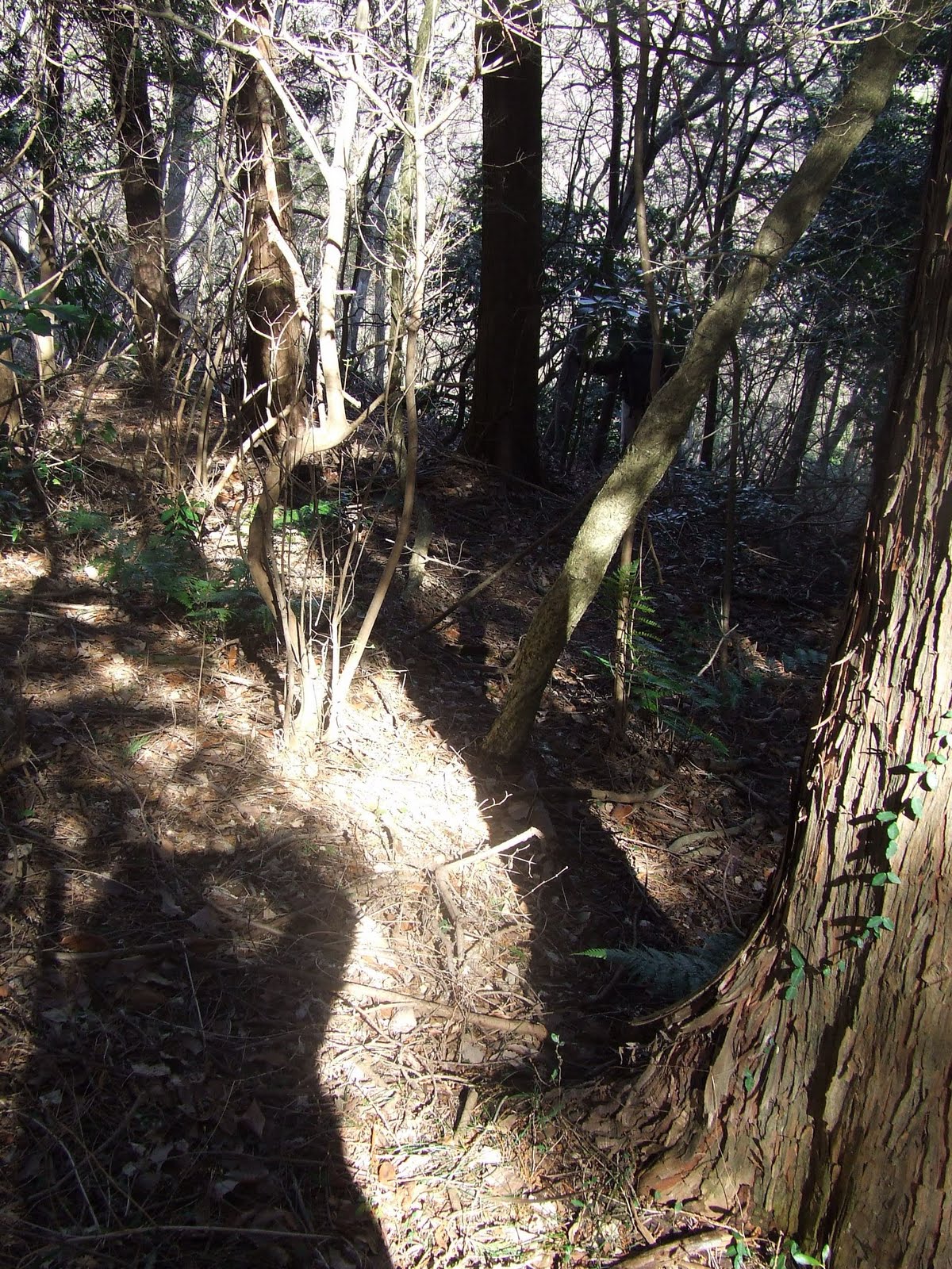 [Tsukuba+Ibaraki+2+129.jpg]