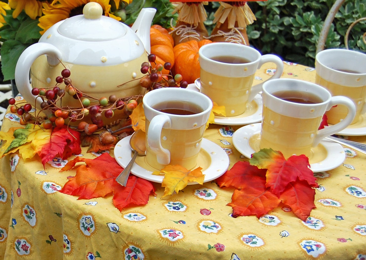 Garden autumn with Tea