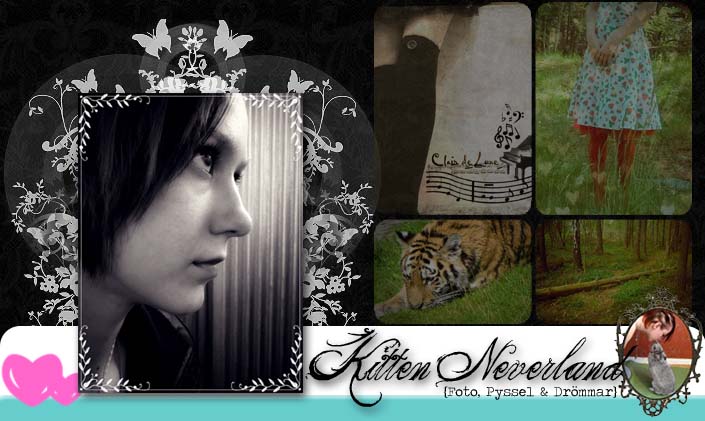 Kitten Neverland - Foto, Pyssel & Drömmar