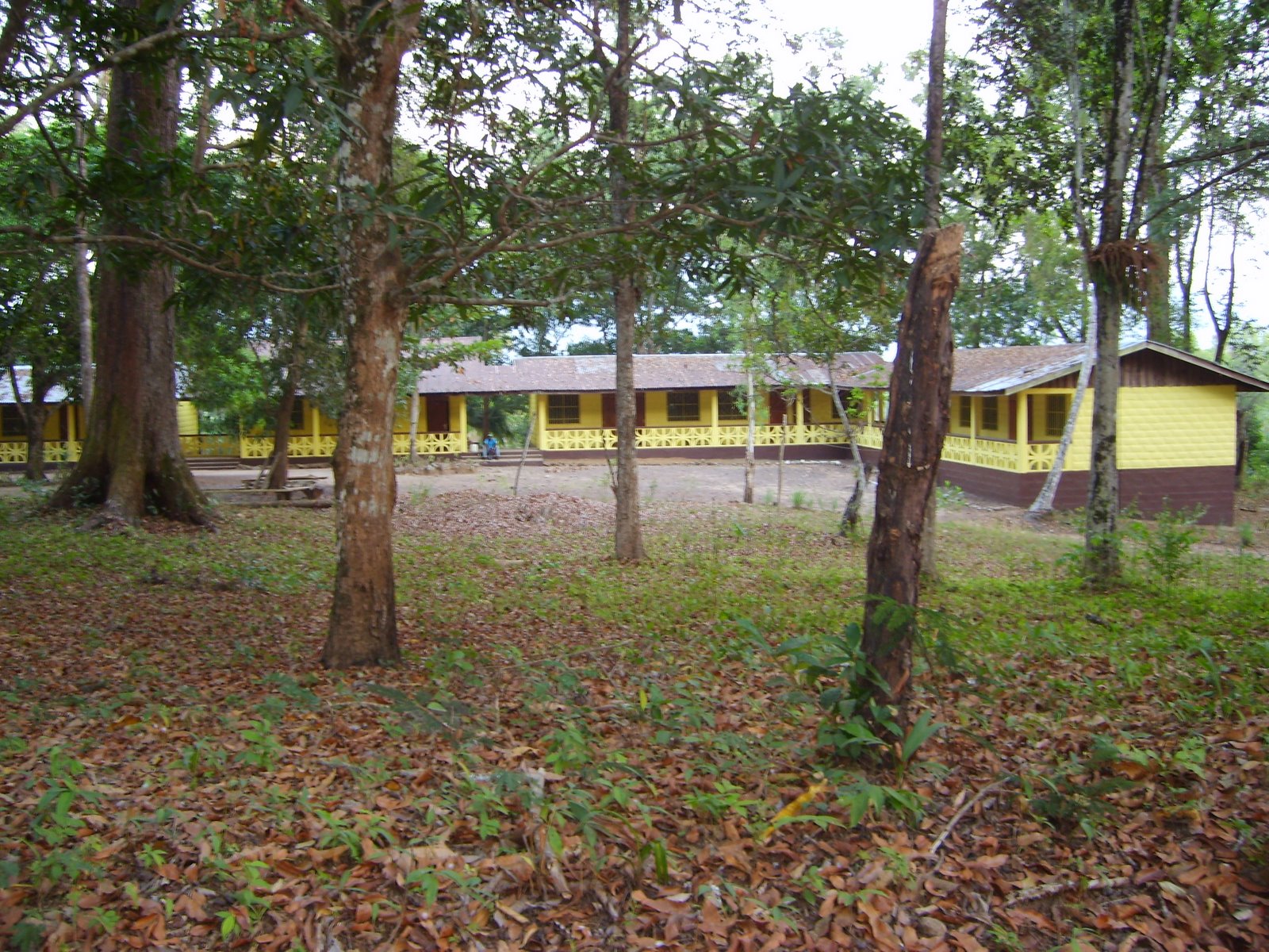 [2006A+459.jpg]