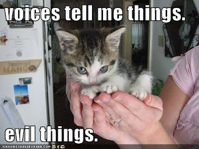 [Image: funny-pictures-evil-cute-kitten-hands.jpg]