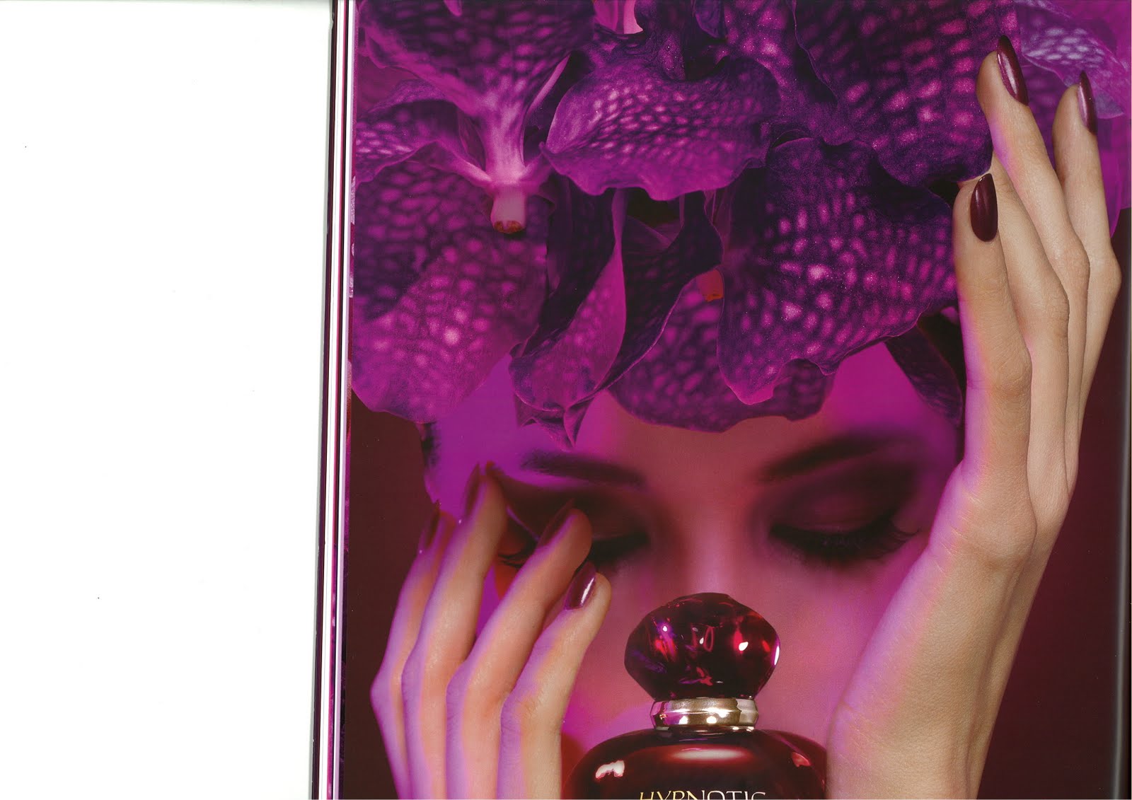Perfume Shrine Dior Hypnotic Poison Eau Sensuelle Fragrance Review