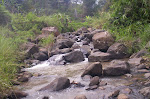 Galeri
