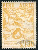 Guanay, principal productor de guano de islas