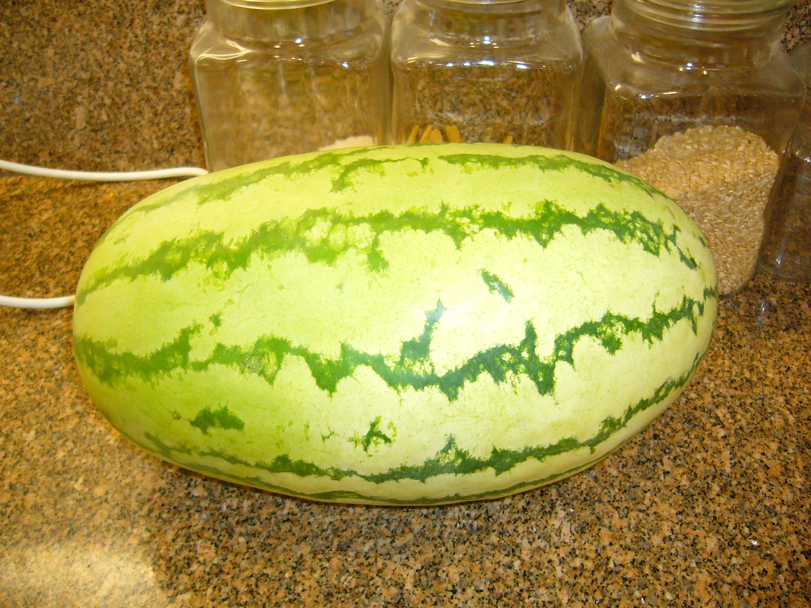 Sacramento Vegetable Gardening The Sweetest Melon...