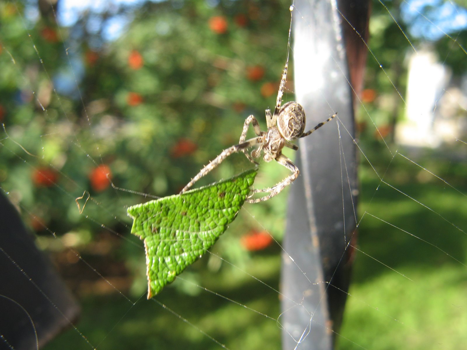 [IMG_1557.JPG]