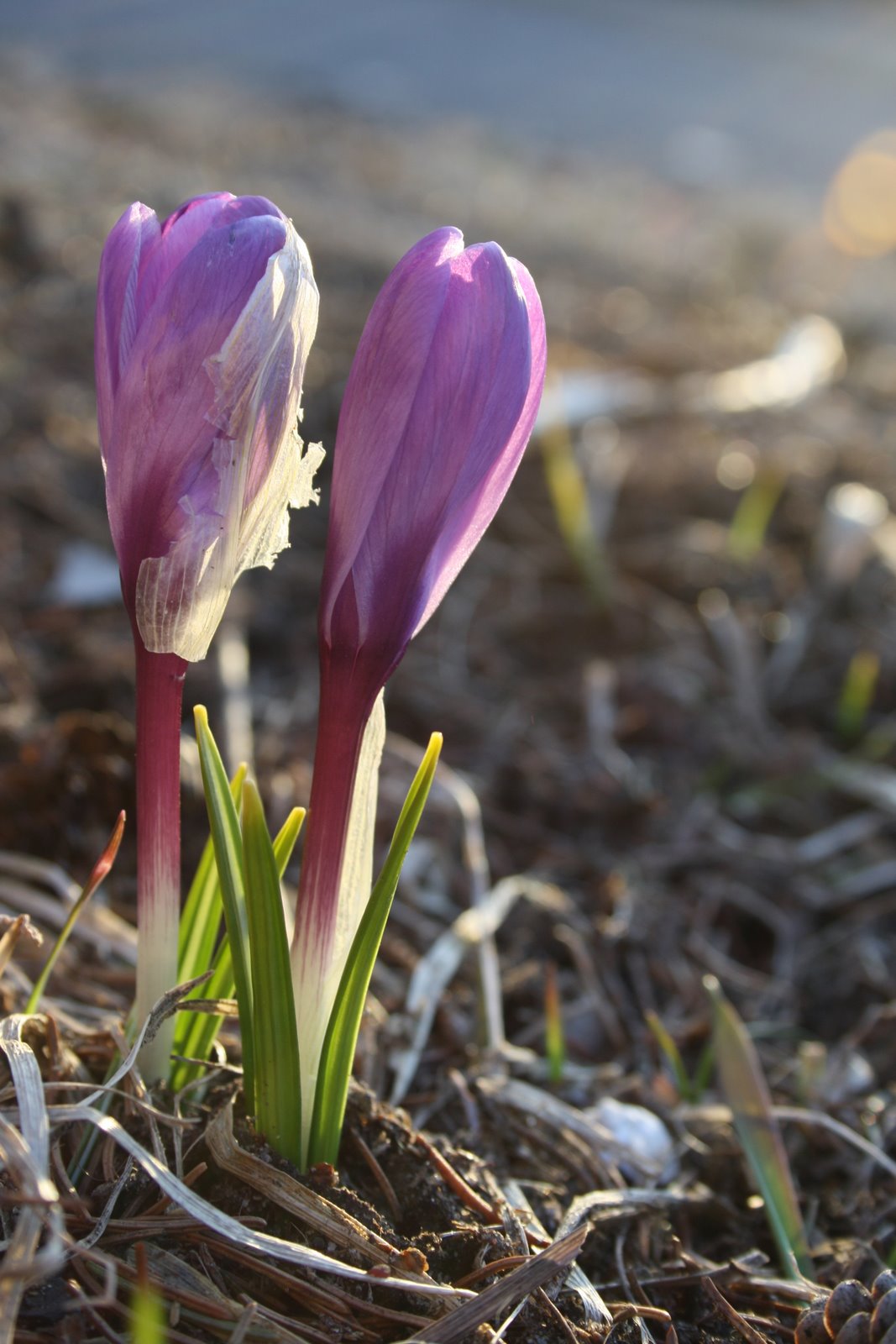 [IMG_3754.JPG]