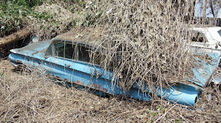Junkyard Life Classic Cars Muscle Cars Barn Finds Hot