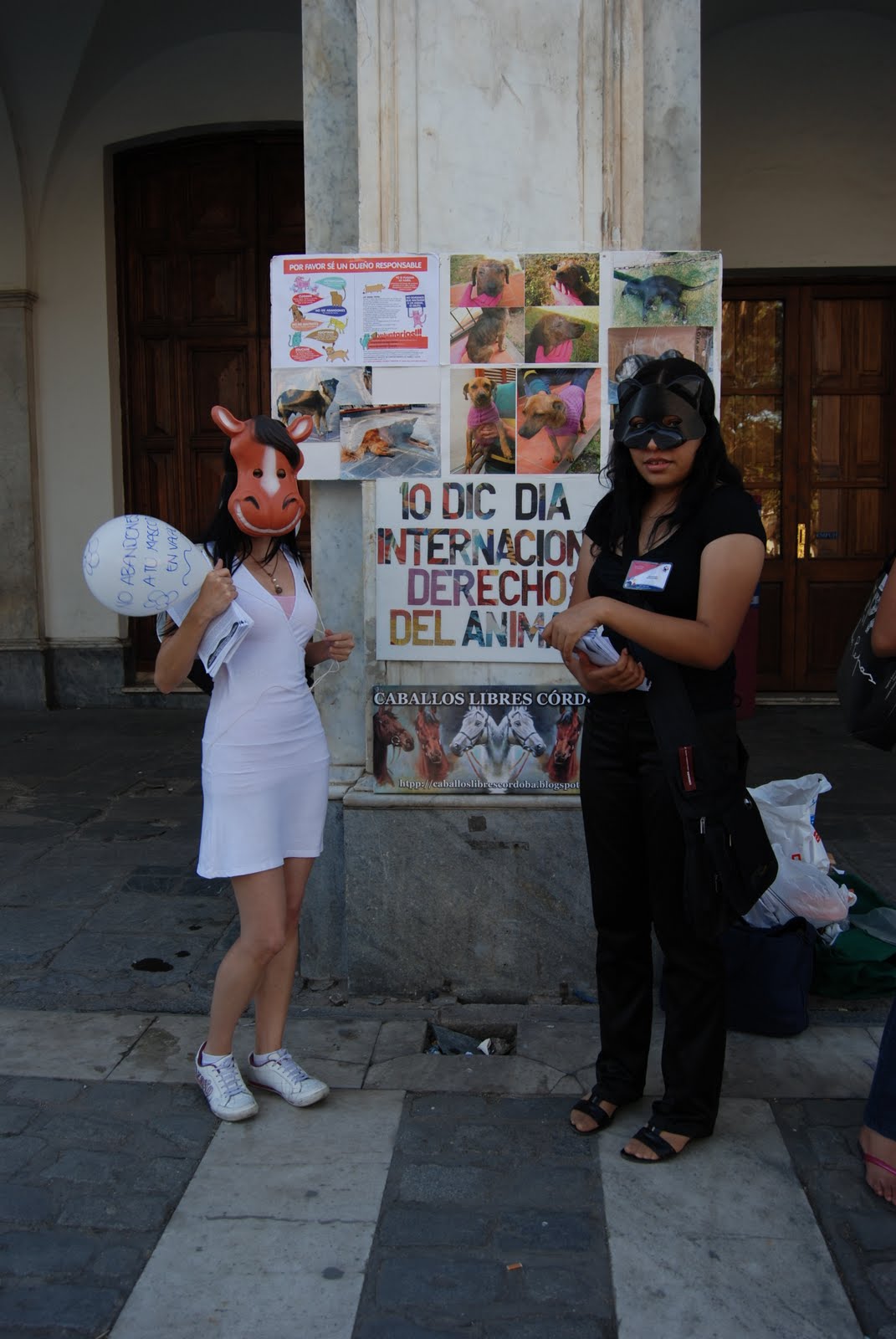 [DSC_0032.JPG]