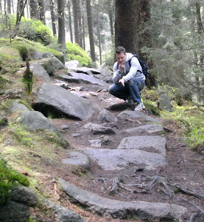 A Hiking Weekend In The Harz Mountains Of Germany Nordic Wanders