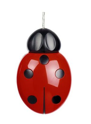 [mouse035.jpg]
