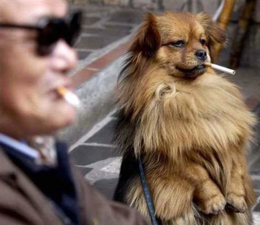 [caes20080412_08.jpg]