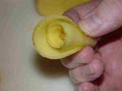 comida divertida batata frita flor rosa