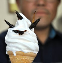sorvete gafanhoto japão