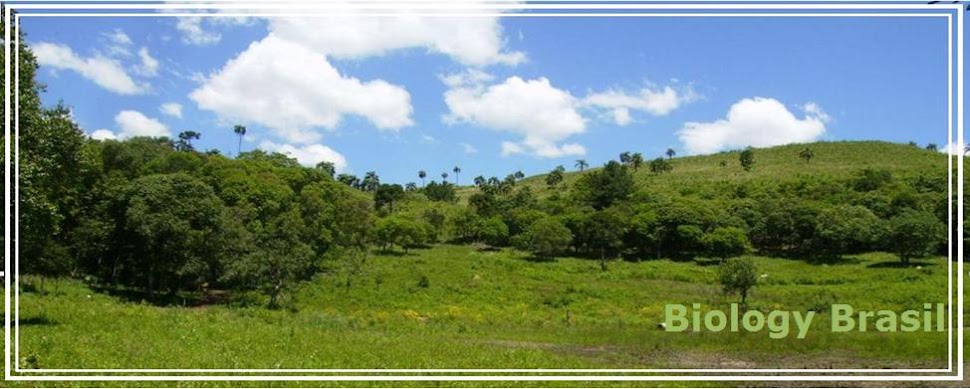 Download Livros e Arquivos de Biologia