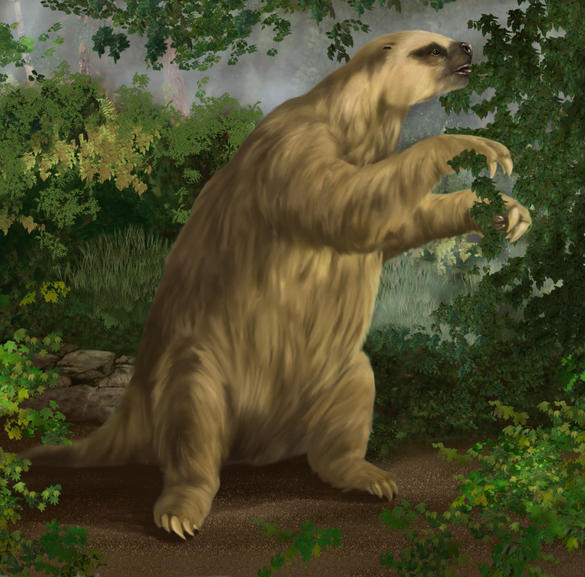 Follow the Piper: Giant Ground Sloths