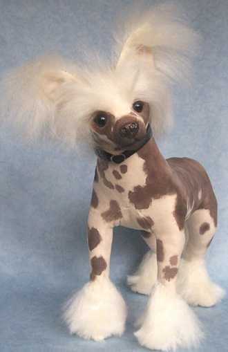 Crested Dog Breed