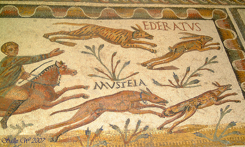 Roman Dogs