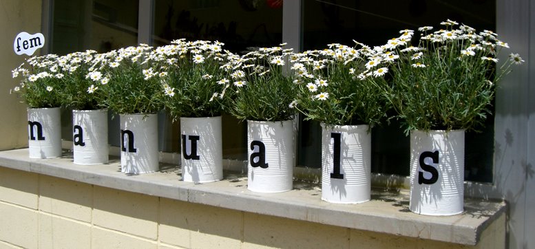 [daisies.jpg]
