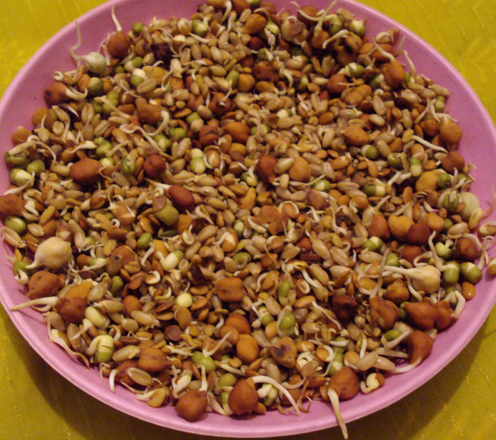 Mixed Sprouts Kurma