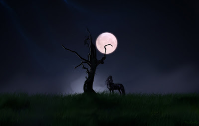 خلفيات  خيول  رائعه  جدا Solitude+Horse+Night-243554