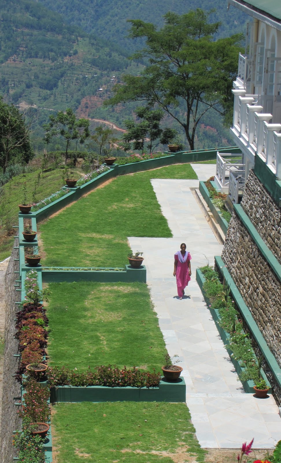 The Ardent Traveler Glenburn Tea Estate, Darjeeling, India