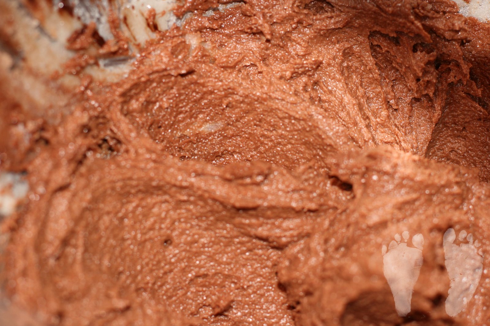 [Before+the+eggs+copyright.jpg]