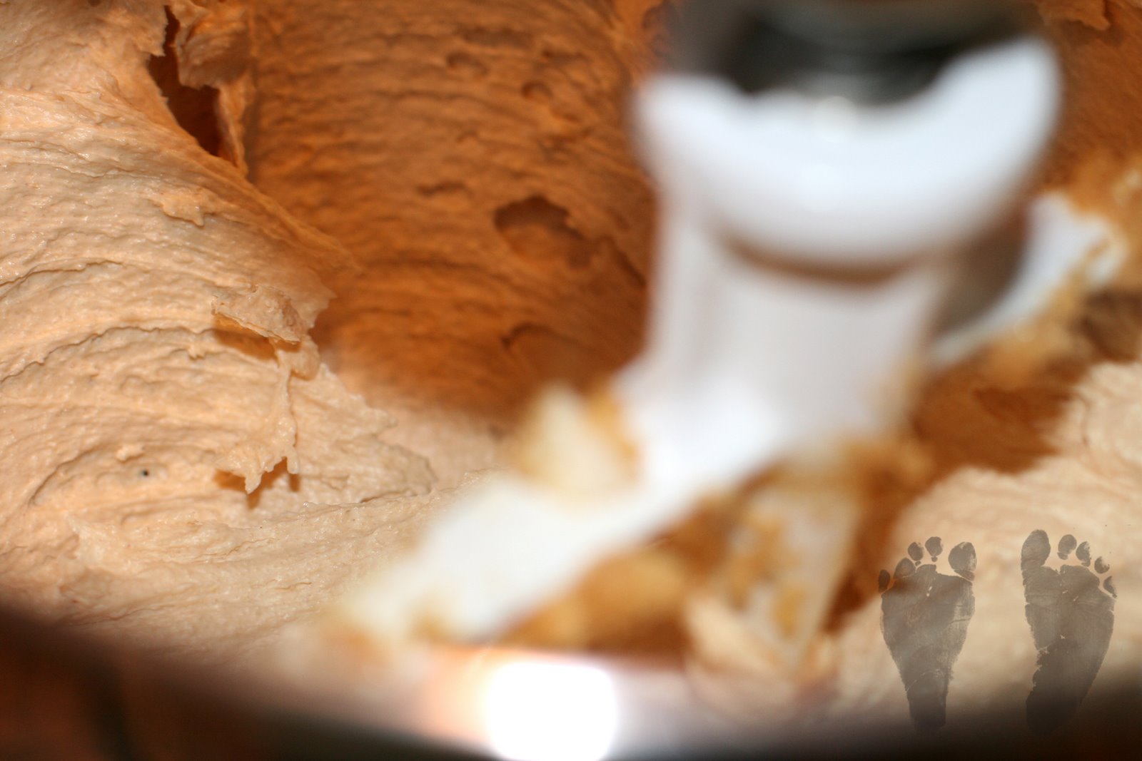 [Cookie+1+1+Copyright.jpg]