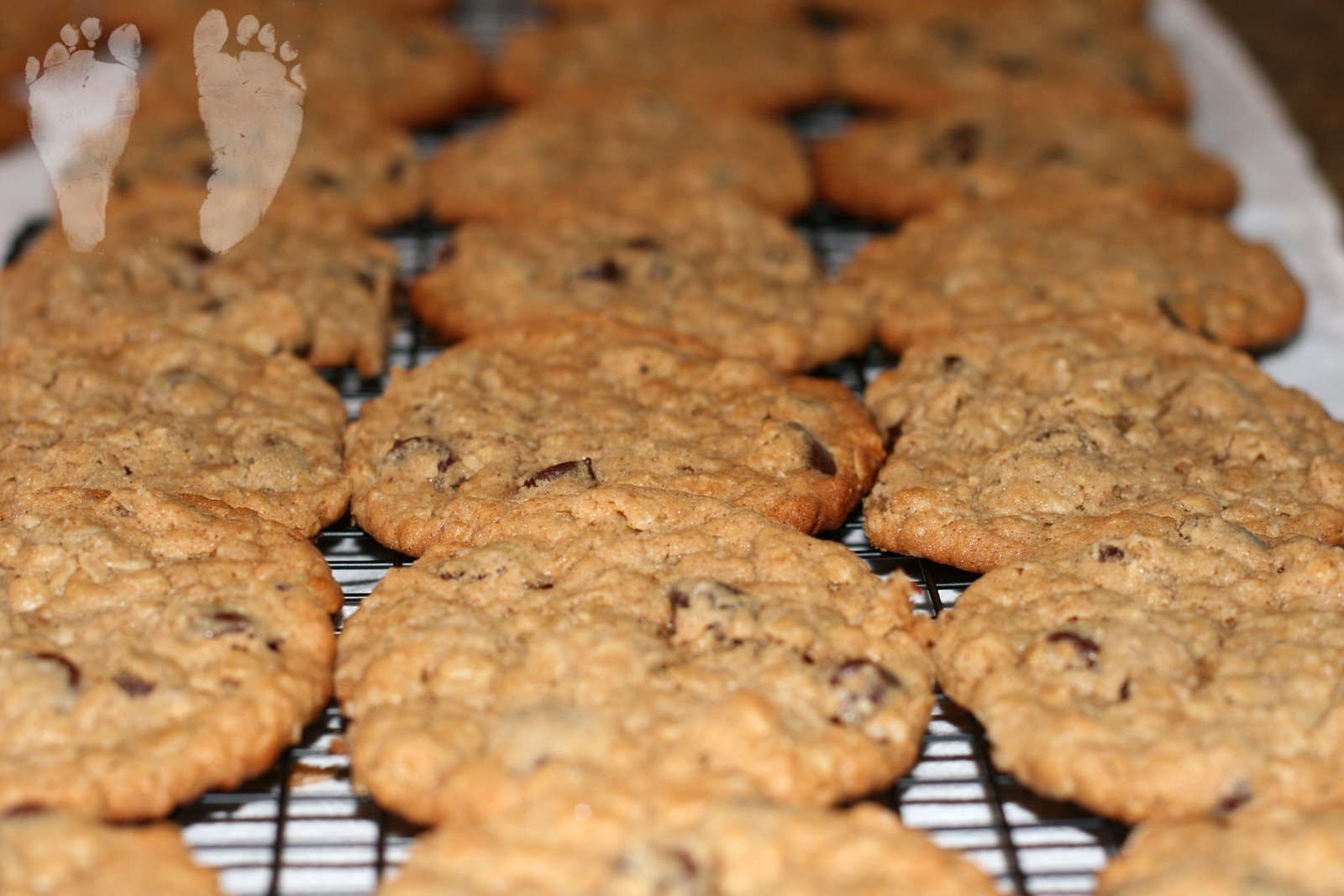 [Cookie+1+3+Copyright.jpg]