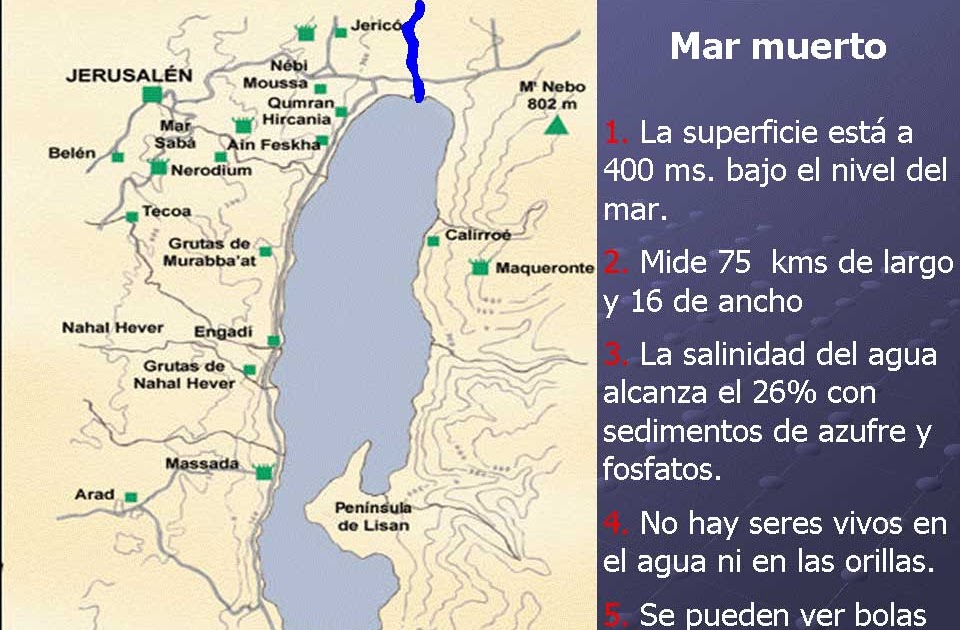 Las eccemas secas en la palma