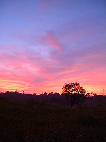 [DSCF0289.JPG]