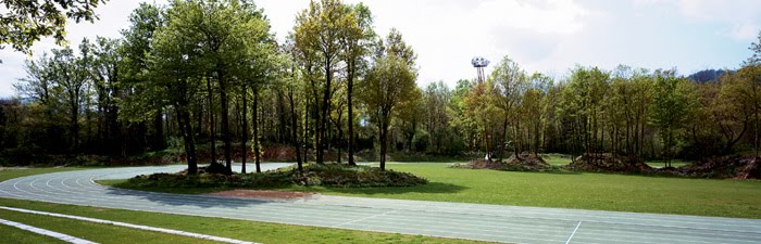 Resultat d'imatges de pistes d'atletismes olot